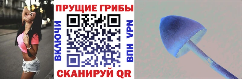 Псилоцибиновые грибы Psilocybe мега как зайти Назарово